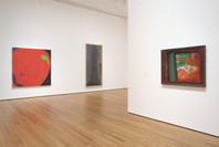 Contemporary Voices: Works from The UBS Art Collection. Feb 4–Apr 25, 2005.