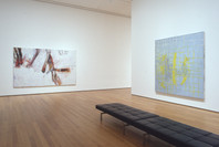 Contemporary Voices: Works from The UBS Art Collection. Feb 4–Apr 25, 2005. 1 other work identified