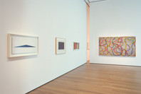 Contemporary Voices: Works from The UBS Art Collection. Feb 4–Apr 25, 2005.