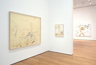 Contemporary Voices: Works from The UBS Art Collection. Feb 4–Apr 25, 2005. 2 other works identified