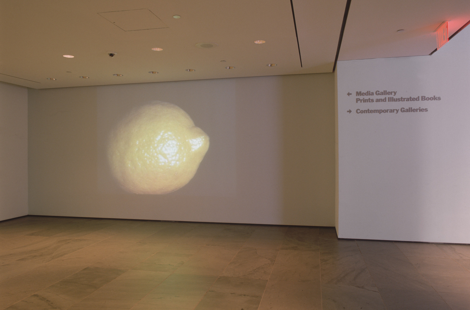 Installation view of the exhibition "Film and Media Inaugural Installation" MoMA