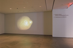 Installation photo, 6 of 7