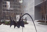 The Abby Aldrich Rockefeller Sculpture Garden: Inaugural Installation. Nov 20, 2004–Dec 31, 2005. 1 other work identified