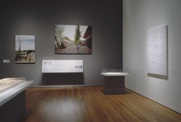 Installation photo, 19 of 35