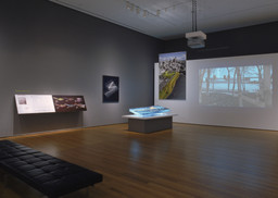 Installation photo, 15 of 35