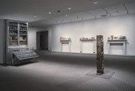 Projects 82: Mark Dion—Rescue Archaeology, A Project for The Museum of Modern Art. Nov 20, 2004–Apr 18, 2005.