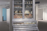 Projects 82: Mark Dion—Rescue Archaeology, A Project for The Museum of Modern Art. Nov 20, 2004–Apr 18, 2005.