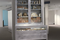 Projects 82: Mark Dion—Rescue Archaeology, A Project for The Museum of Modern Art. Nov 20, 2004–Apr 18, 2005.