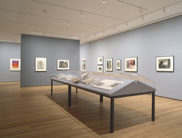 Artists &amp; Prints: Masterworks from The Museum of Modern Art, Part 1. Nov 20, 2004–Mar 14, 2005. 9 other works identified
