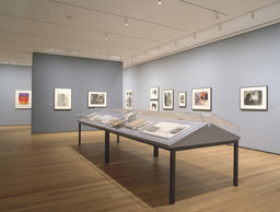 Installation photo, 5 of 16