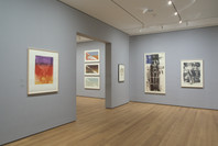 Artists &amp; Prints: Masterworks from The Museum of Modern Art, Part 1. Nov 20, 2004–Mar 14, 2005. 5 other works identified
