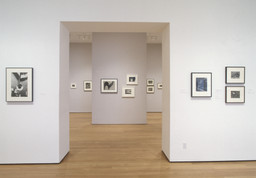 Installation photo, 23 of 28