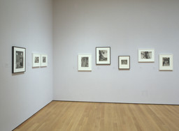 Installation photo, 24 of 28