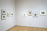 Photography: Inaugural Installation. Nov 20, 2004–Jun 6, 2005. 6 other works identified