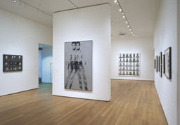 Installation photo, 17 of 28