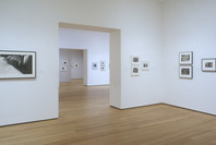 Photography: Inaugural Installation. Nov 20, 2004–Jun 6, 2005. 3 other works identified
