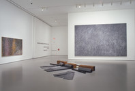 Contemporary: Inaugural Installation. Nov 20, 2004–Jul 11, 2005. 3 other works identified
