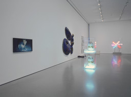 Installation photo, 11 of 26