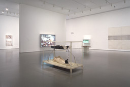 Installation photo, 19 of 26