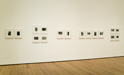 Friedlander | MoMA