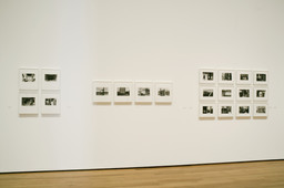 Friedlander | MoMA