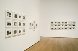 Friedlander | MoMA