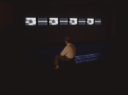 Installation photo, 2 of 3