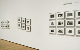 Friedlander | MoMA