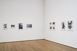 Friedlander | MoMA