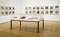 Friedlander | MoMA