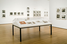 Installation photo, 36 of 45
