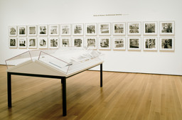 Friedlander | MoMA