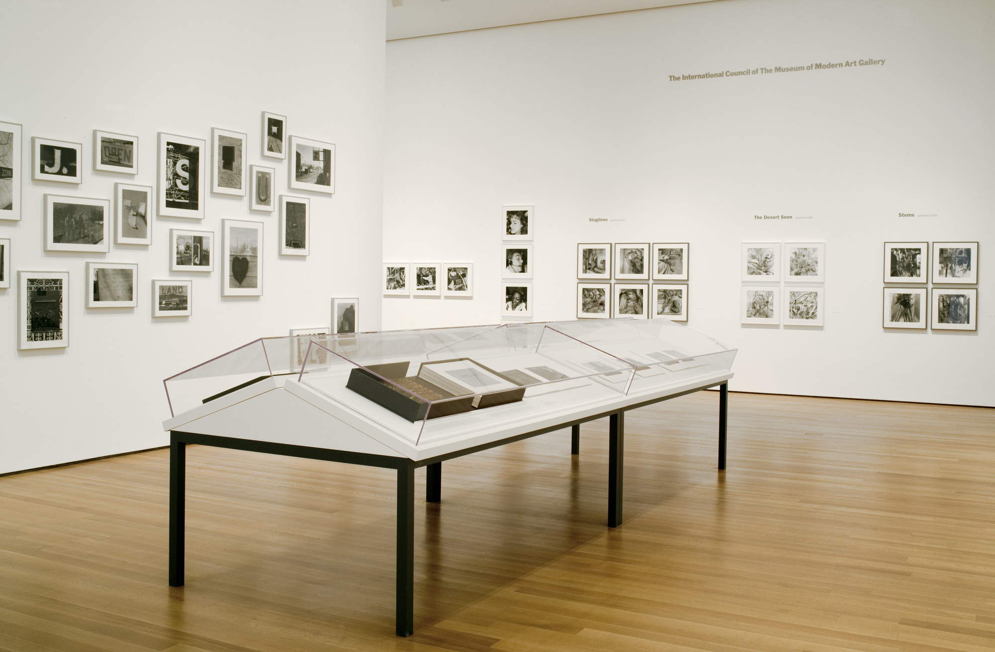 Friedlander THE MUSEUM OF MODERN ART アート・デザイン・音楽 Lee