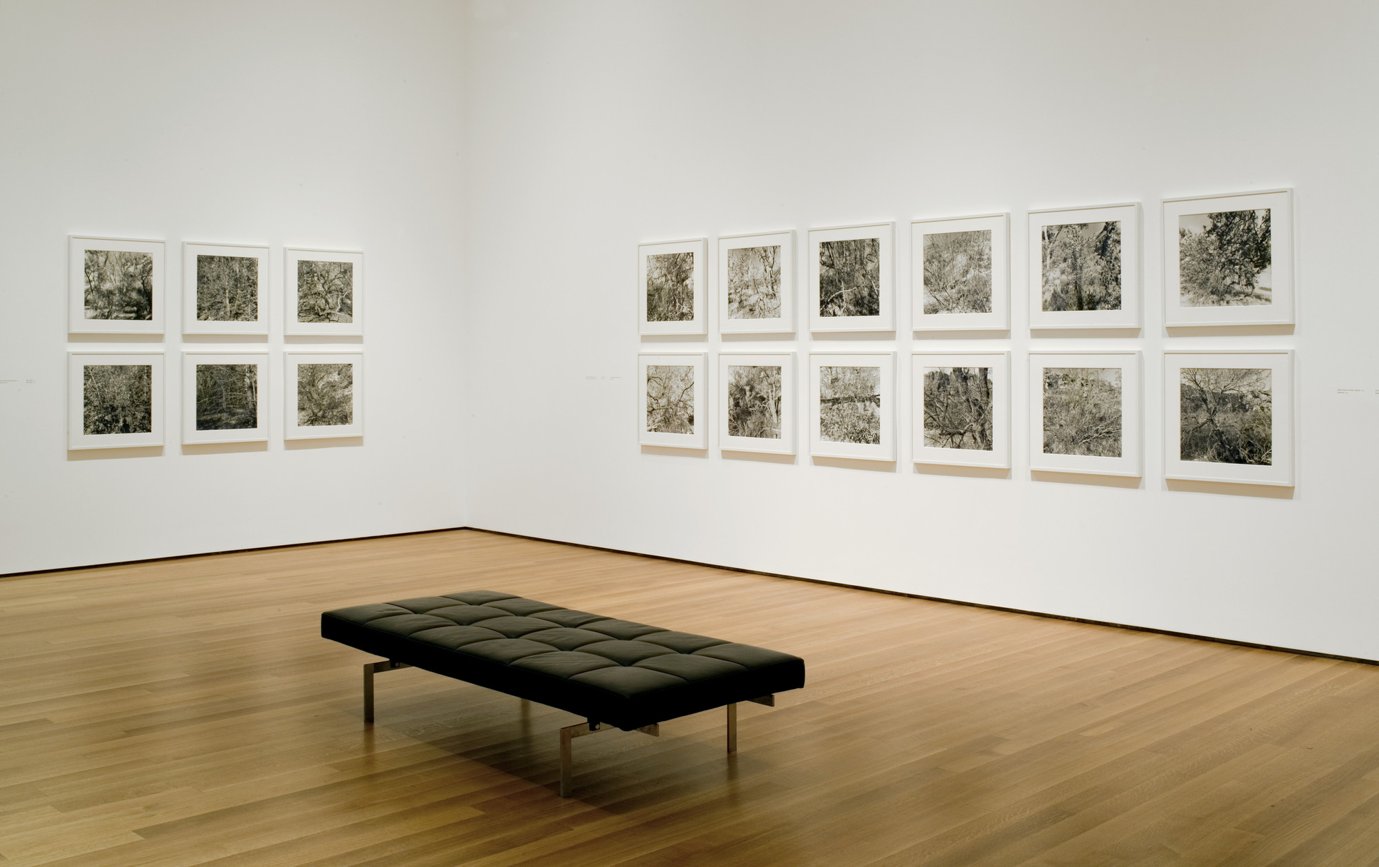 Installation view of the exhibition 