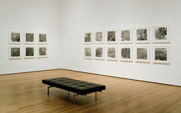 Friedlander | MoMA