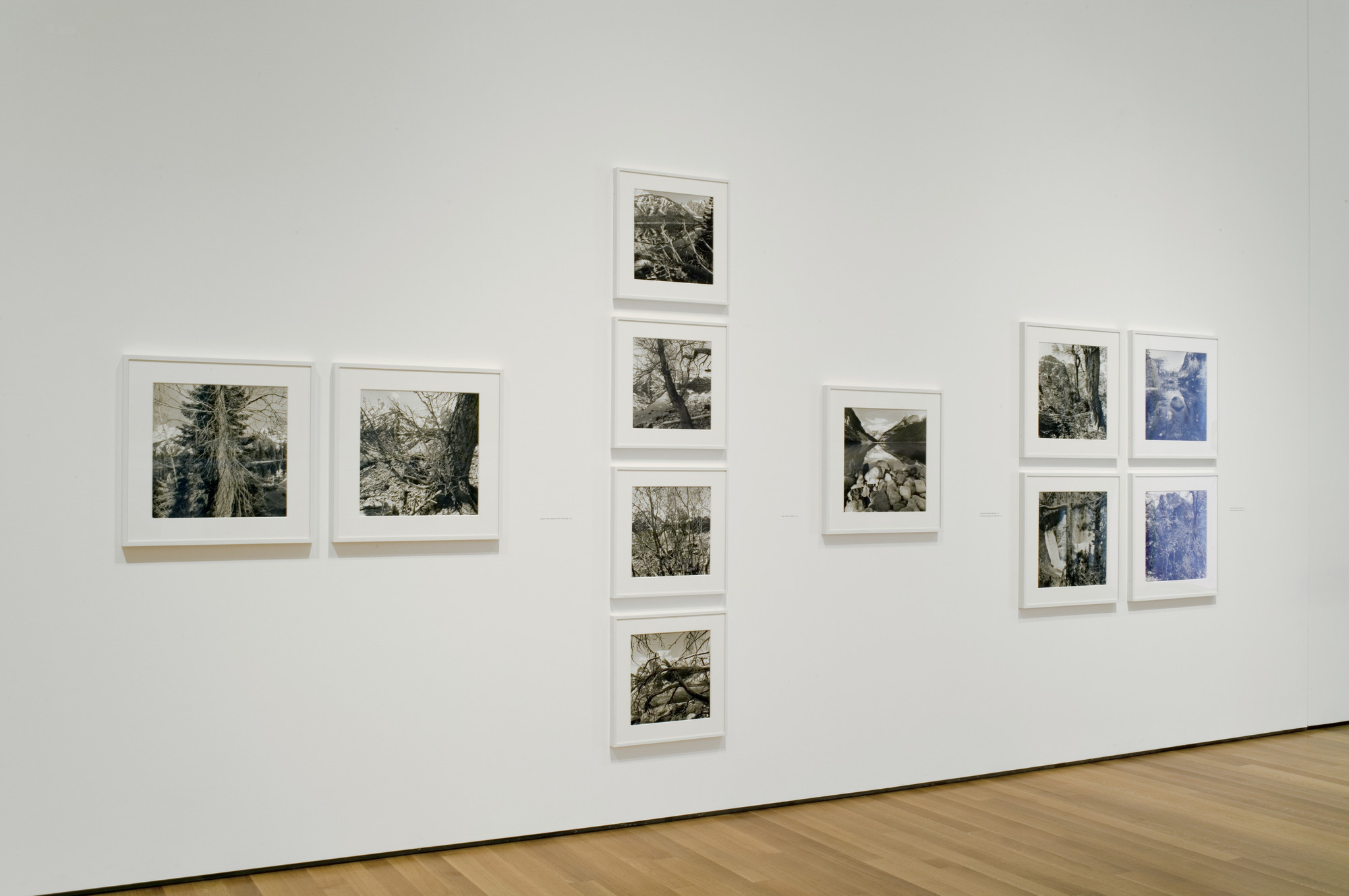 Installation view of the exhibition 
