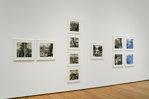 Lee Friedlander. Lake Louise, Canada. 2000 | MoMA
