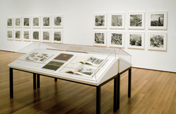 Friedlander | MoMA