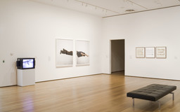 Installation photo, 2 of 22