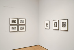 Installation photo, 7 of 24