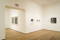 Installation photo, 20 of 24