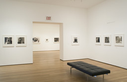 Installation photo, 13 of 24
