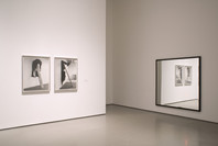 Take Two. Worlds and Views: Contemporary Art from the Collection. Sep 14, 2005–Mar 21, 2006. 1 other work identified