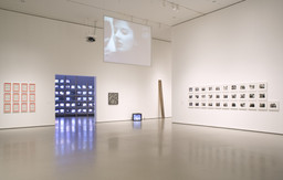 Installation photo, 6 of 34