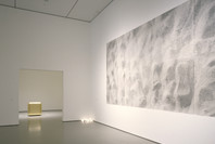 Take Two. Worlds and Views: Contemporary Art from the Collection. Sep 14, 2005–Mar 21, 2006. 1 other work identified