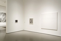 Take Two. Worlds and Views: Contemporary Art from the Collection. Sep 14, 2005–Mar 21, 2006. 1 other work identified