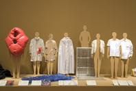 SAFE: Design Takes On Risk. Oct 16, 2005–Jan 2, 2006. 1 other work identified