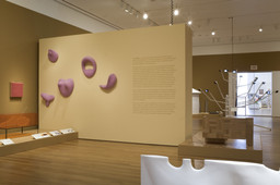 Installation photo, 15 of 47