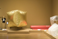 SAFE: Design Takes On Risk. Oct 16, 2005–Jan 2, 2006. 2 other works identified