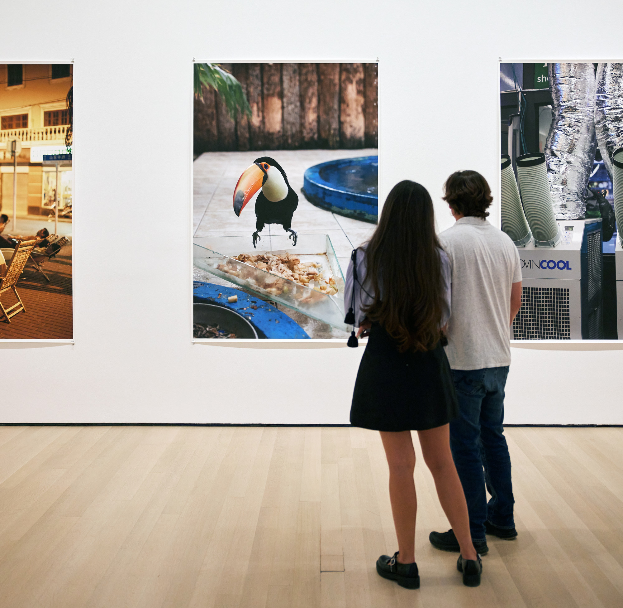 Installation view of Wolfgang Tillmans: To look without fear, The Museum of Modern Art, New York, September 12, 2022–January 1, 2023. Photo: Edwina Hay
